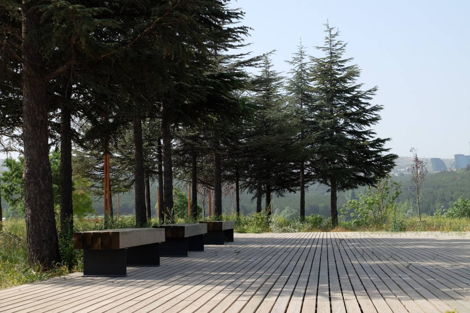 Türkiye Milli Botanik Bahçesi