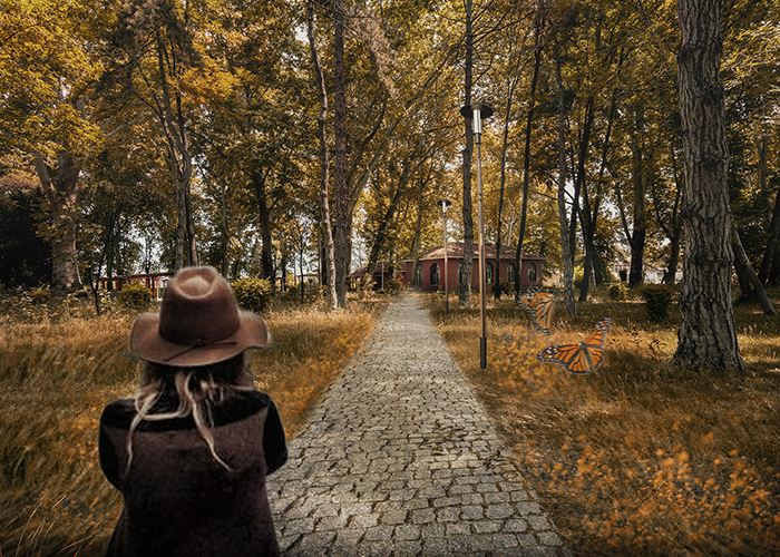 KocaKavak Alanı ve Pancar Sokak Kentsel Rehabilitasyon ve Canlandırma Projesi