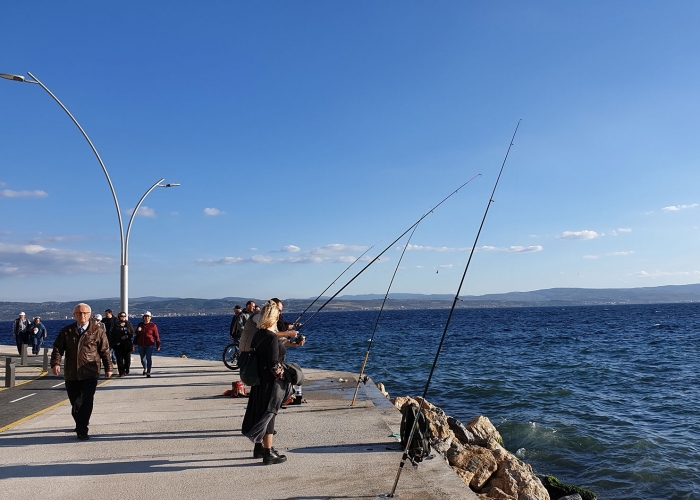 Gelibolu Sahil Güvenlik Alanı