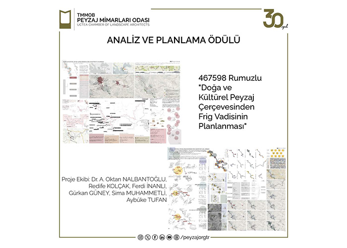 Analysis and Planning Award